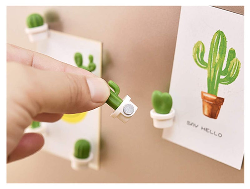 TabEnter Decorative Refrigerator Magnets, Perfect Fridge Magnets for House Office Personal Use (12Pcs Cactus) - Image 4